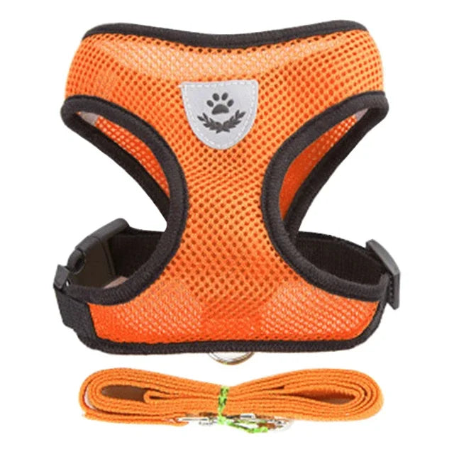 Adjustable Mesh Dog Harness Leash Set