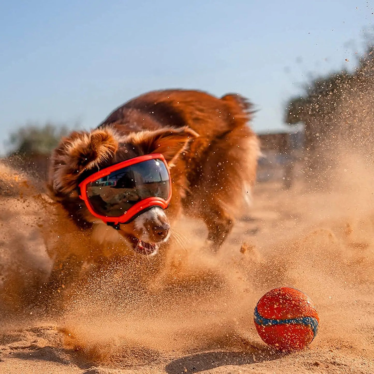 Adjustable Anti-UV Dog Goggles