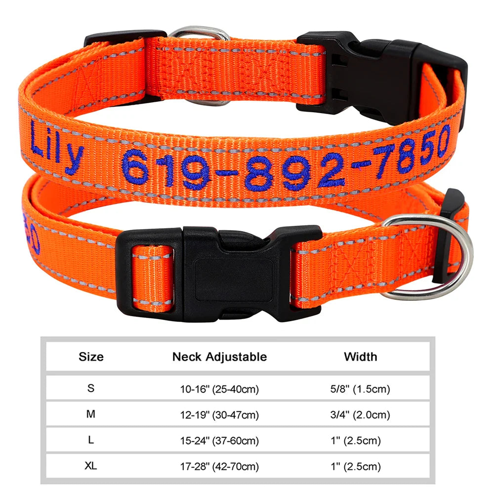 Adjustable Nylon Dog Collar with ID