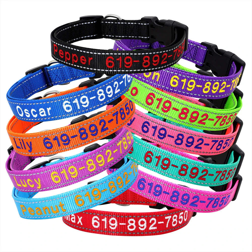Adjustable Nylon Dog Collar with ID