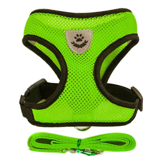 Adjustable Cat Harness for Walking