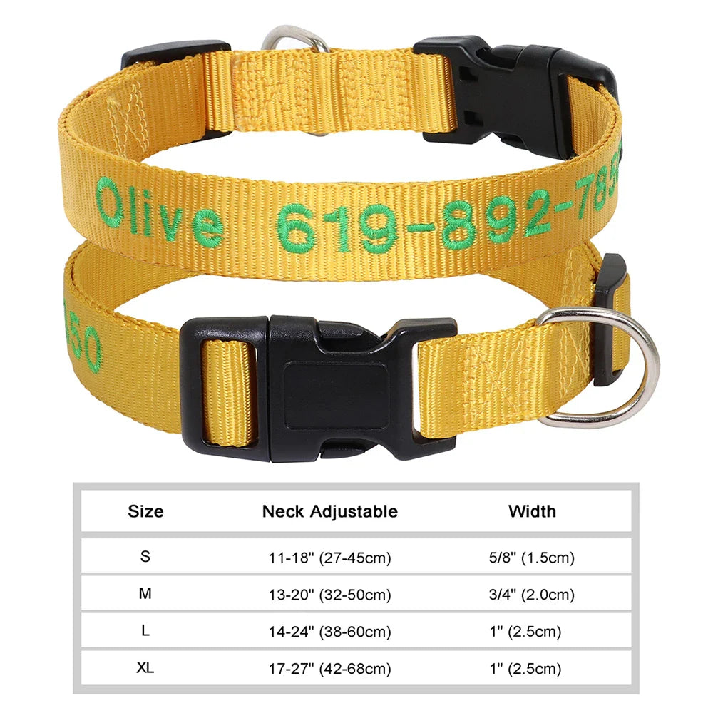 Adjustable Nylon Dog Collar with ID