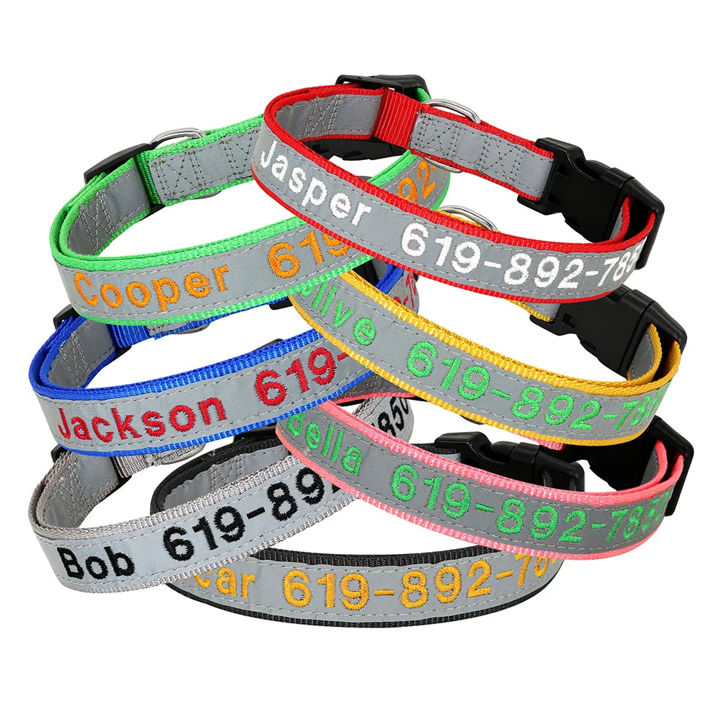 Adjustable Nylon Dog Collar with ID