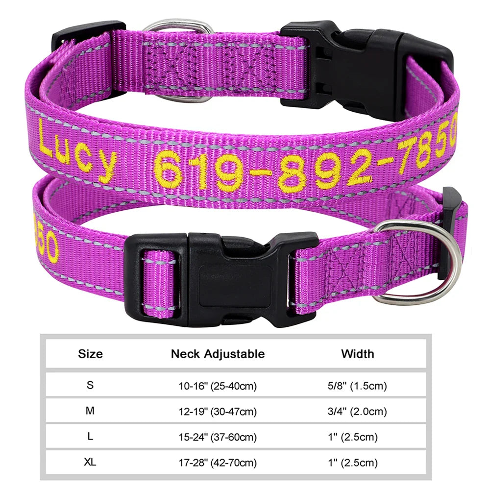 Adjustable Nylon Dog Collar with ID