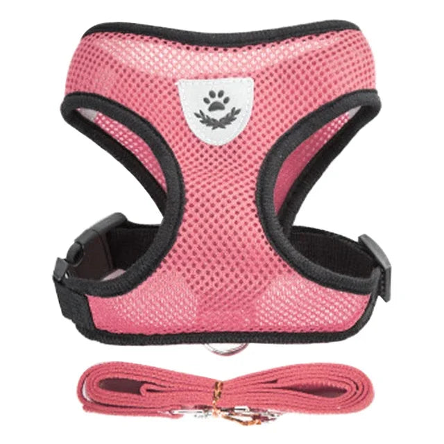 Adjustable Cat Harness for Walking