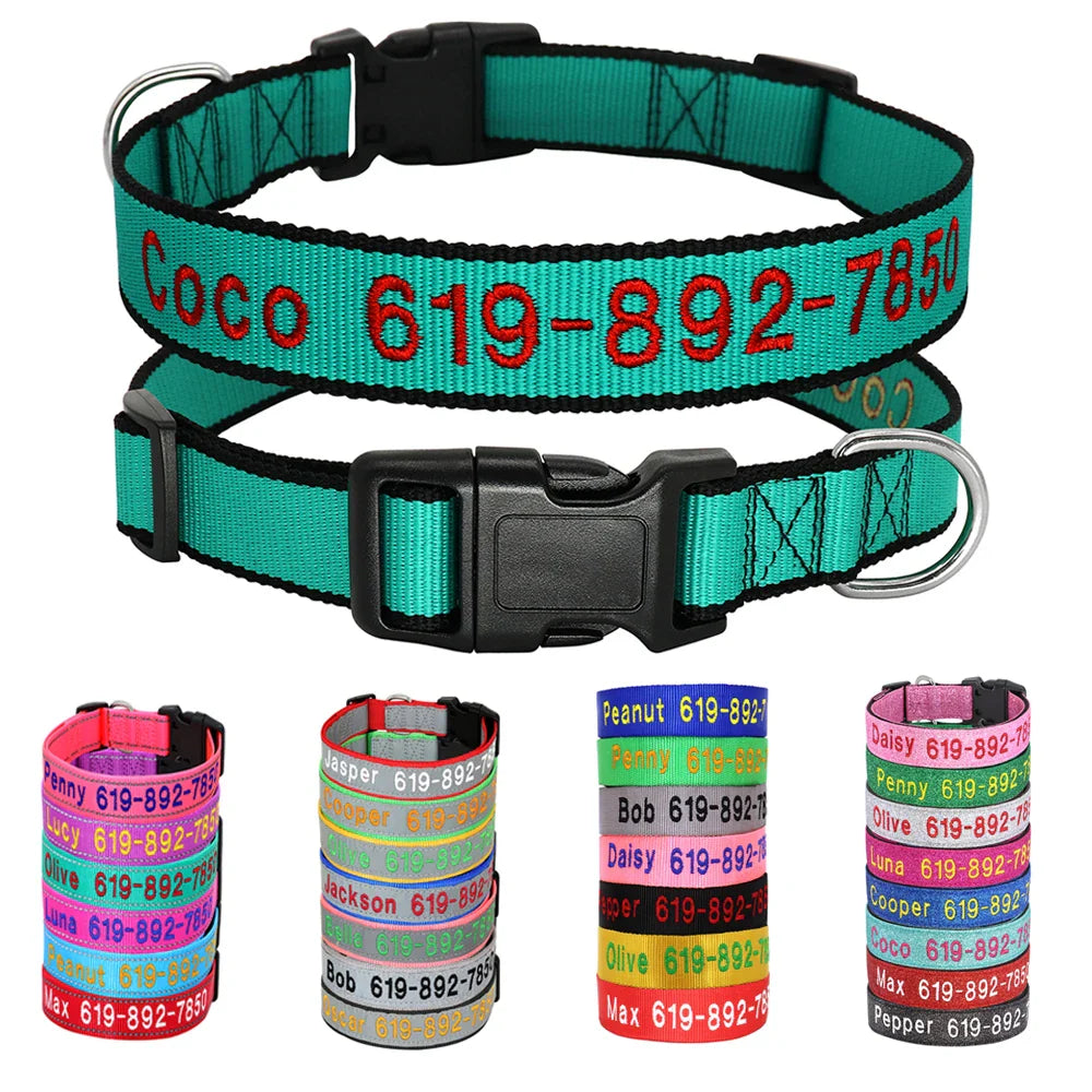 Adjustable Nylon Dog Collar with ID